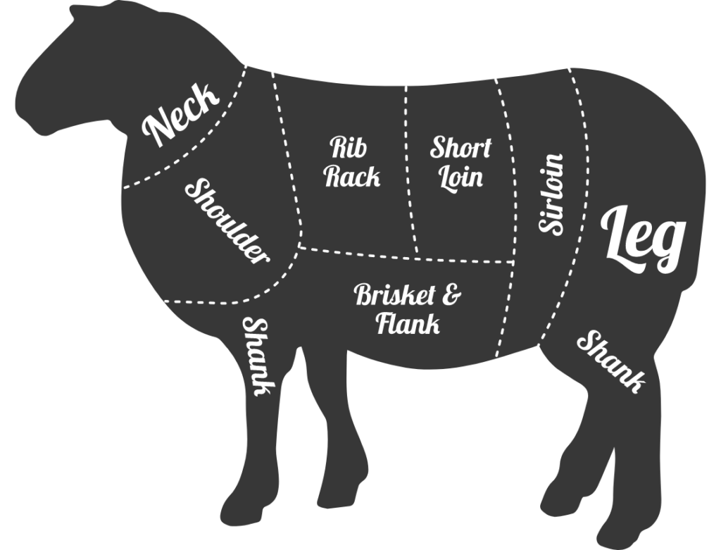 lamb meat cuts chart