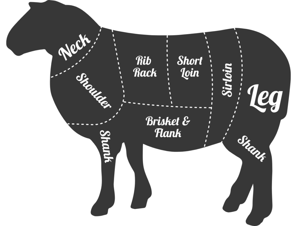 Lamb Meat Cuts Chart